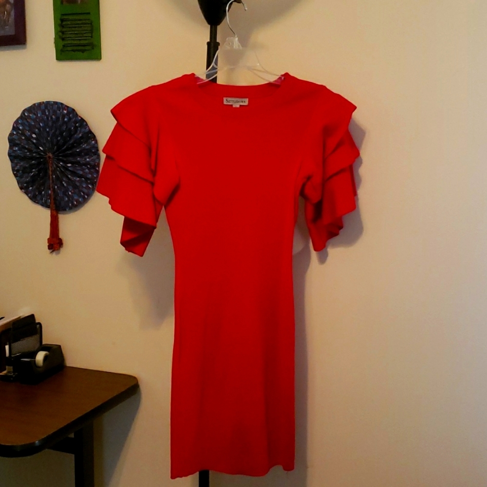 Red full sleeve party dress